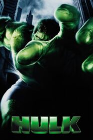 Hulk 2003 one on netflix