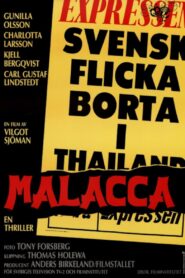 Malacca 1987 one on netflix
