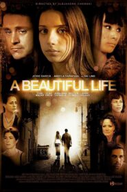 A Beautiful Life 2009 one on netflix