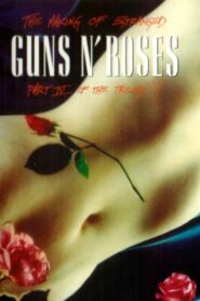 Guns N’ Roses: Estranged – Part IV of the Trilogy!!! 1994 one on netflix