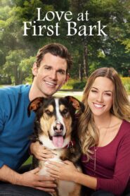 Love at First Bark 2017 one on netflix