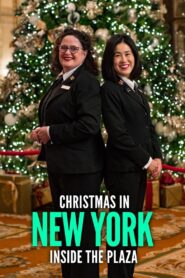 Christmas in New York: Inside the Plaza 2020 one on netflix