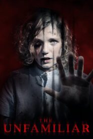 The Unfamiliar 2020 one on netflix