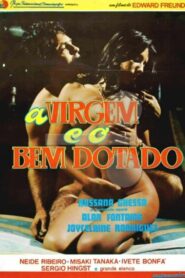 A Virgem e o Bem-Dotado 1980 one on netflix