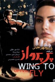 Pare Parvaz 2000 one on netflix