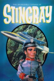 The Incredible Voyage of Stingray 1980 one on netflix