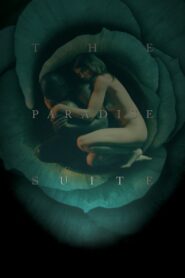 The Paradise Suite 2015 one on netflix