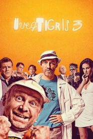 Glass Tiger 3 2010 one on netflix