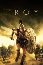 Troy 2004 one on netflix