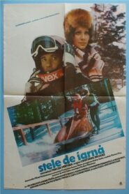 Stele de iarnă 1980 one on netflix