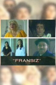 The Frenchman 1995 one on netflix