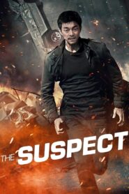 The Suspect 2013 one on netflix