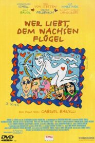 On the Wings of Love 1999 one on netflix