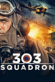 303 Squadron 2018 one on netflix