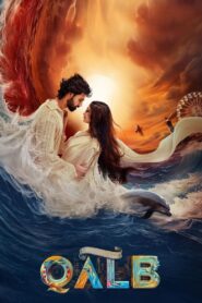 Qalb 2024 one on netflix