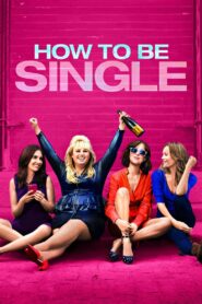 How to Be Single 2016 one on netflix