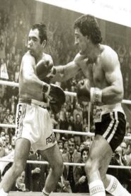 There Was Once a Champion 2004 one on netflix