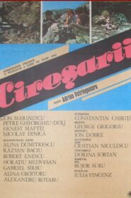 Cireșarii 1984 one on netflix