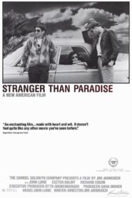 Stranger Than Paradise 1983 one on netflix