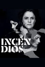 Incêndios 2014 one on netflix