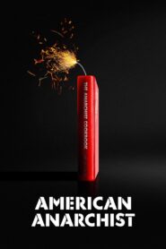 American Anarchist 2016 one on netflix