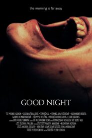 Good Night 2013 one on netflix
