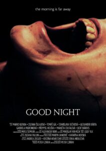 Good Night 2013 one on netflix