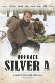 Operation Silver A 2007 one on netflix
