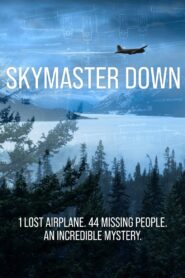 Skymaster Down 2022 one on netflix