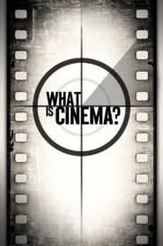 What Is Cinema? 2013 one on netflix