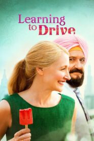 Learning to Drive 2014 one on netflix