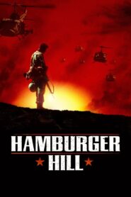 Hamburger Hill 1987 one on netflix