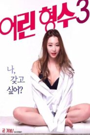 Young Sister-in-Law 3 2017 one on netflix
