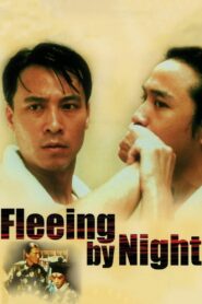 Fleeing by Night 2000 one on netflix
