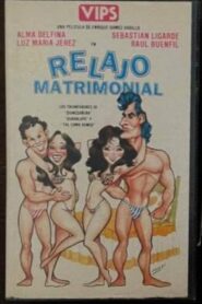 Relajo matrimonial 1988 one on netflix