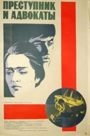 The Criminal and the Lawyers 1981 one on netflix