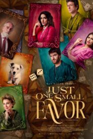 Just One Small Favor 2023 one on netflix