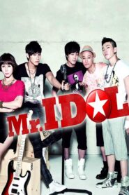 Mr. Idol 2011 one on netflix