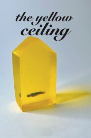 The Yellow Ceiling 2022 one on netflix