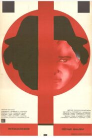 Wild Violets 1980 one on netflix