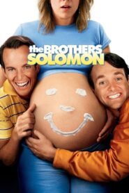 The Brothers Solomon 2007 one on netflix