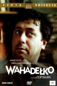 Wahadełko 1981 one on netflix