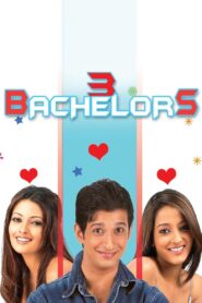 3 Bachelors 2012 one on netflix