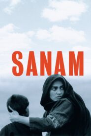Sanam 2001 one on netflix