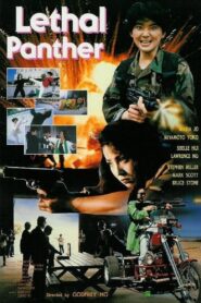 Lethal Panther 1990 one on netflix