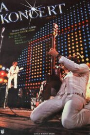 A koncert 1981 one on netflix