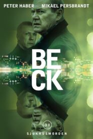 Beck 30 – The Hospital Murders 2015 one on netflix