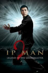 Ip Man 2 2010 one on netflix