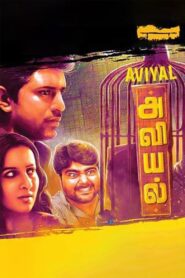 Aviyal 2016 one on netflix