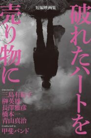 Broken Hearts for Sale 2015 one on netflix
